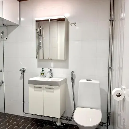 Scandic Style Above Rooftops * Oulu