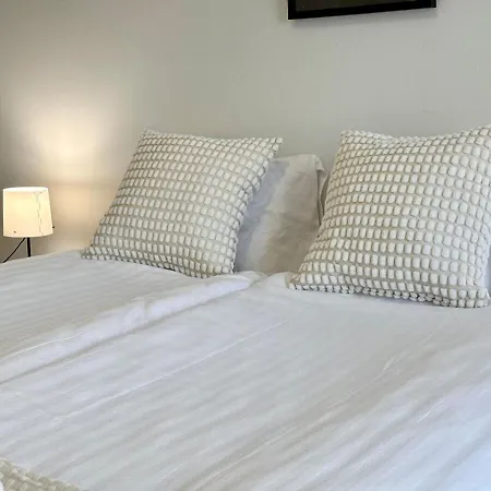 Scandic Style Above Rooftops *